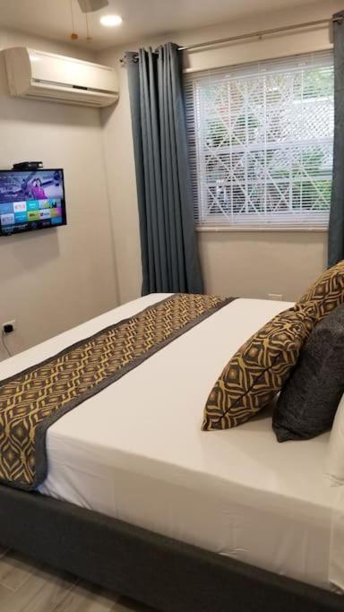 Ridgeview Suite 4 Кингстон Экстерьер фото
